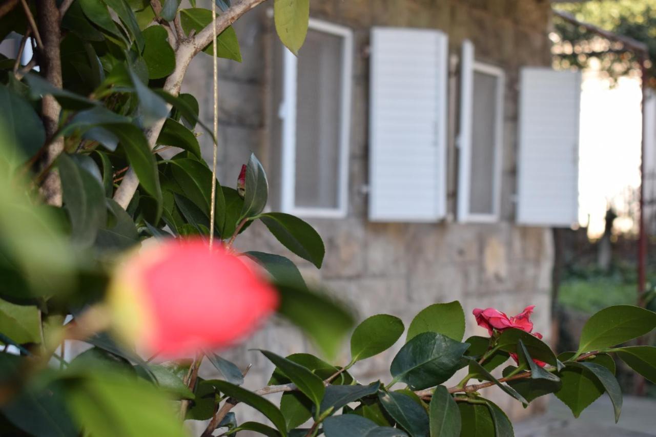 בודווה Old Town Studios מראה חיצוני תמונה